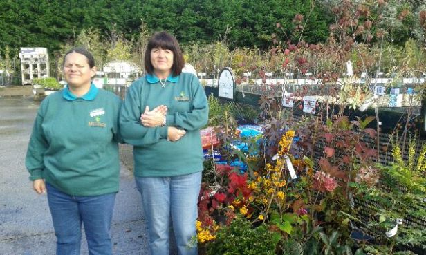 Bettina at work with her PA